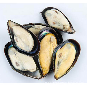 Frozen Cooked Half Shell Mussel